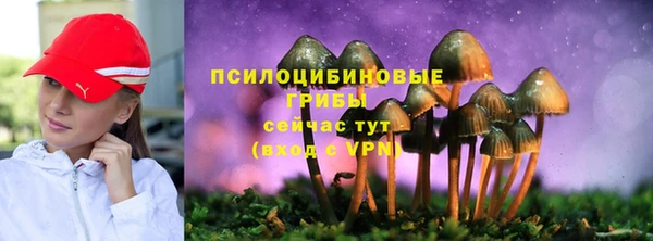 ALPHA PVP Магадан