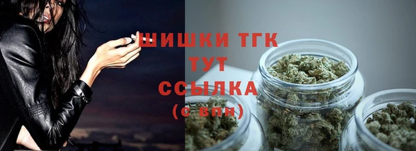 тгк Магас