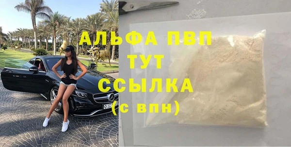 тгк Магас