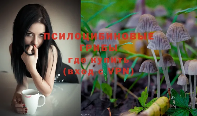 Галлюциногенные грибы Cubensis  Волгодонск 