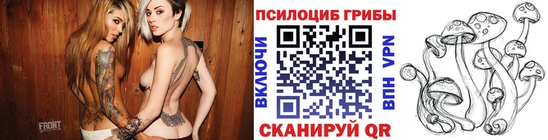 Галлюциногенные грибы GOLDEN TEACHER  Волгодонск 