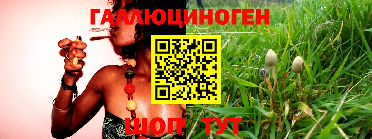 Галлюциногенные грибы мухоморы Волгодонск