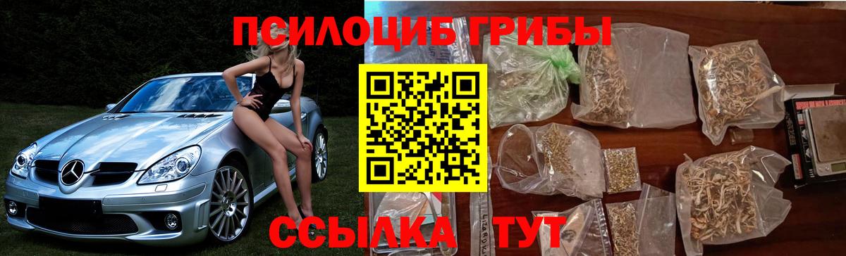 Галлюциногенные грибы прущие грибы  Волгодонск 