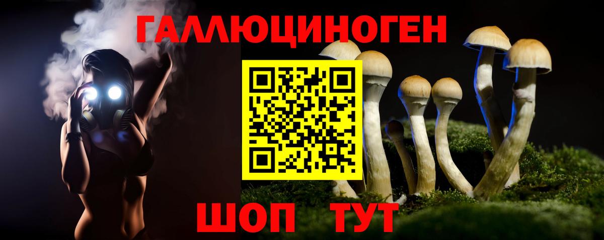 Галлюциногенные грибы GOLDEN TEACHER  магазин продажи наркотиков  Волгодонск  Галлюциногенные грибы Magic Shrooms  Вход с VPN 